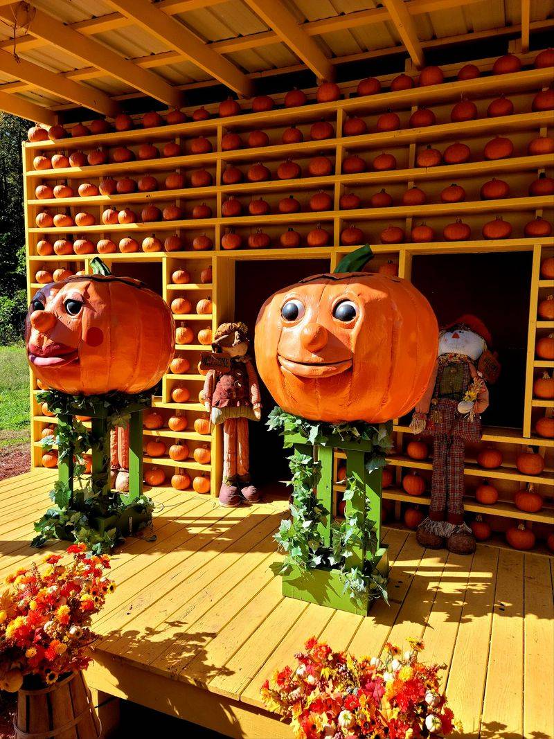 A Giant Pumpkin You Can Ride Right Through