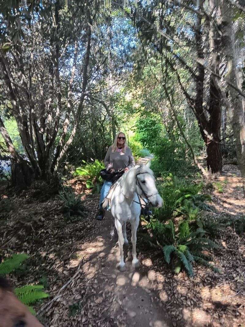 Beginners Are Welcome Here