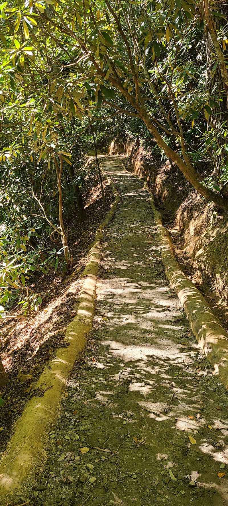 These 9 North Carolina Hiking Trails Locals Skip In August But Return To In September - Decor Hint Deep Creek Trail, Bryson City