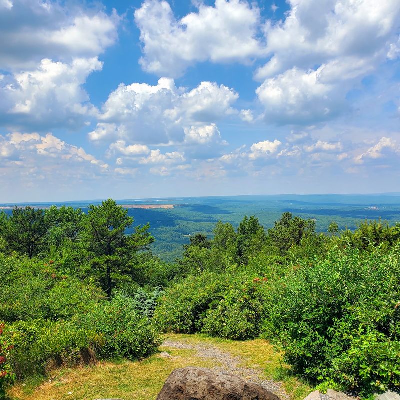 Big Pocono State Park, Tannersville