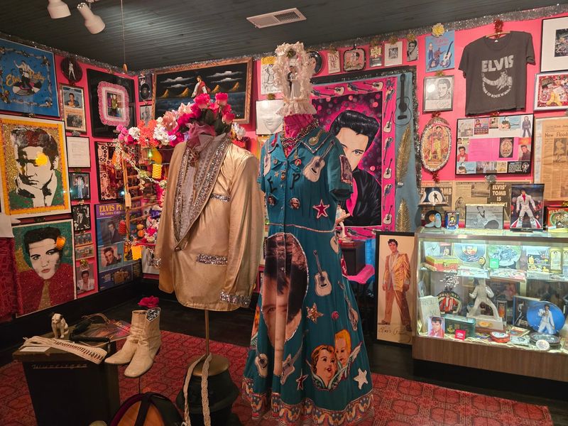 The Panoramic Encyclopedia Of Everything Elvis
