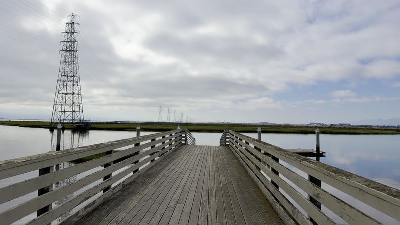 Nearly 15 Miles Of Trails Wait At The Bay's Edge