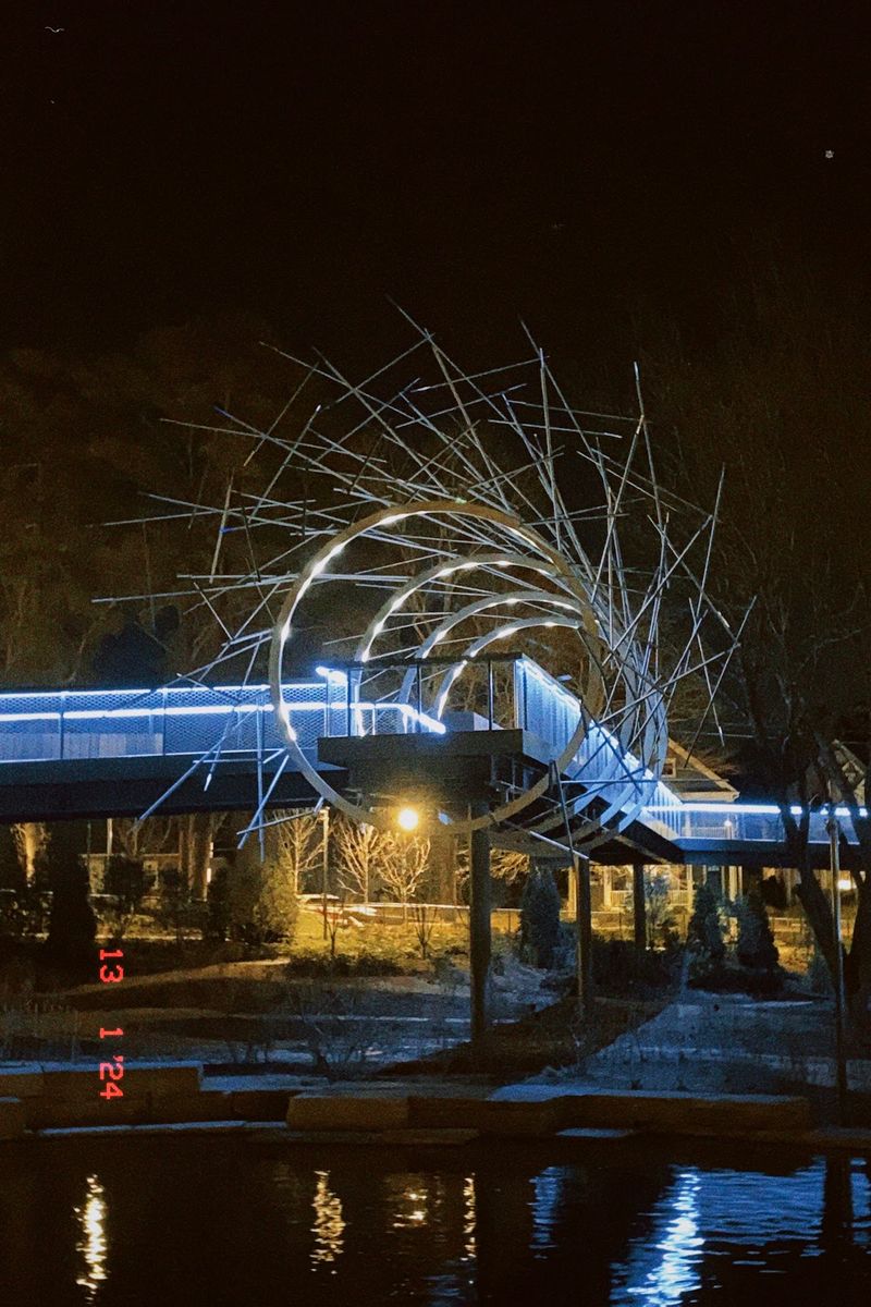 This 17-Foot-High North Carolina Skywalk Turns Into A Glowing Light Tunnel After Dark - Decor Hint A 17-Foot Rise Completely Changes The Way The Park Feels