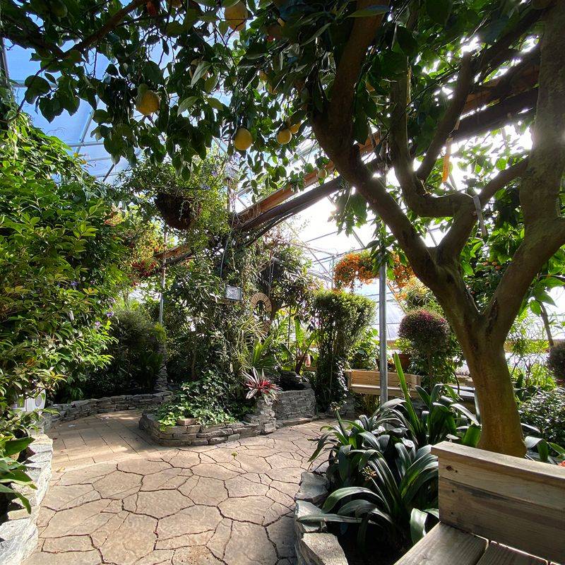 This 19,000-Square-Foot Connecticut Greenhouse Feels Straight Out Of A Fairy Tale - Decor Hint Six Historic Greenhouses Packed With Tropical Plants