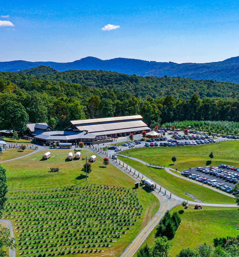 This 400-Acre North Carolina Mountain Farm Has Sunflowers, U-Pick Fruit And Wagon Rides - Decor Hint Ride A Wagon Out To The Fields Before You Start Picking