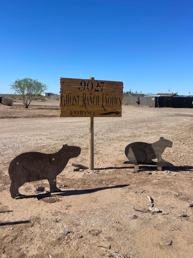 A Unique Desert Haven