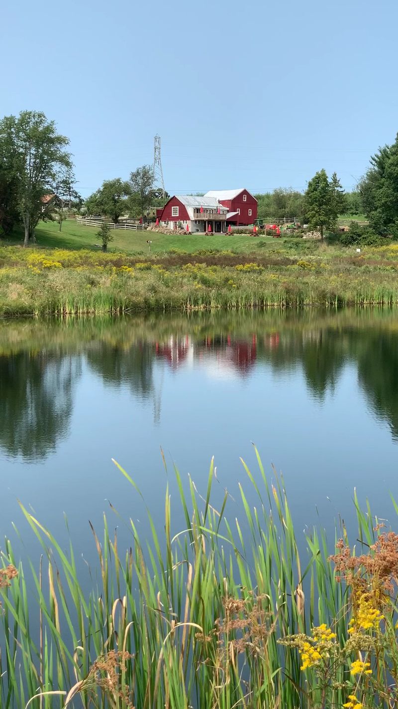 This Beautiful New York Farm Is Quietly Opening Its Apple Orchards Before The Fall Crowds Arrive - Decor Hint A Farm Road That Feels Like A Secret Handshake