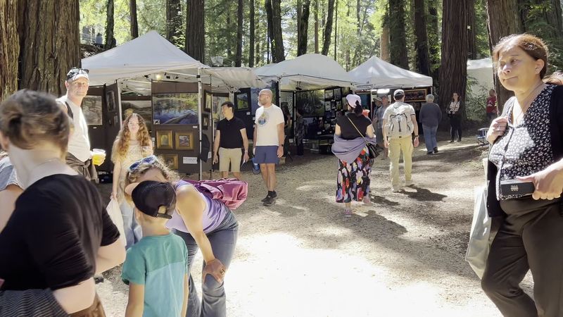 More Than 125 Artists Set Up Beneath The Redwoods