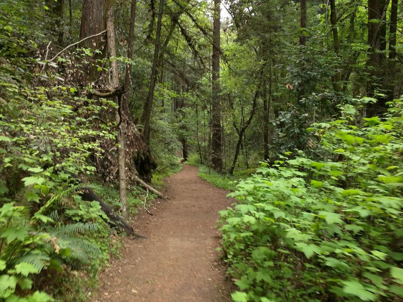 A Roughly 3.5-Mile Loop That Fits A Lot Into A Short Walk