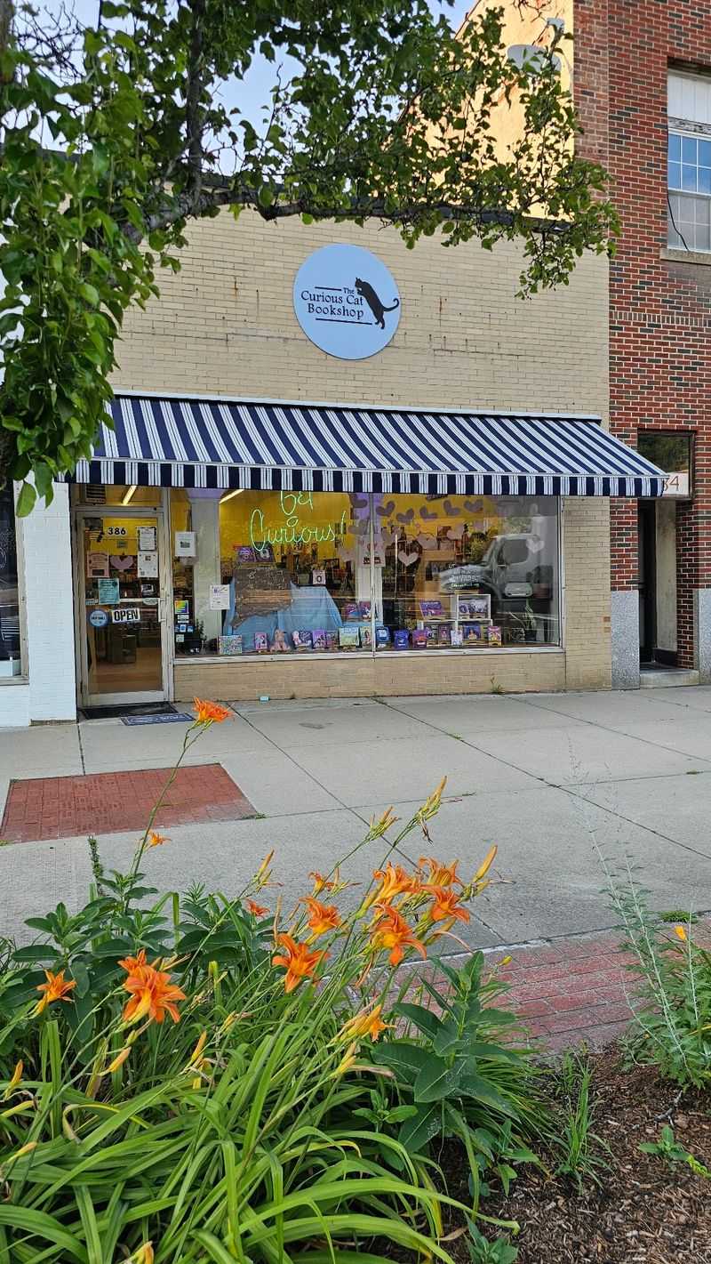 Curiosity Shapes The Whole Bookshop Experience