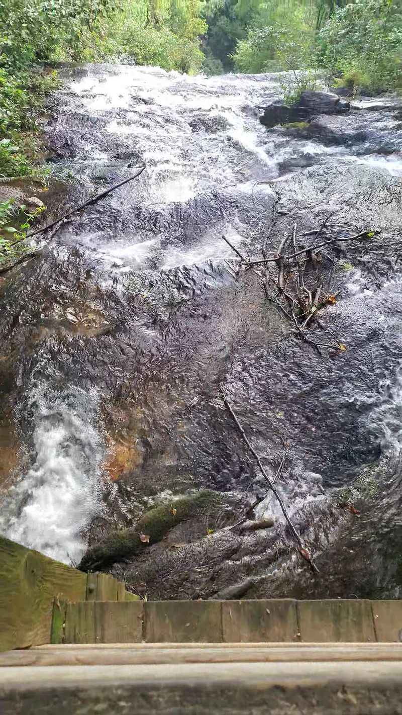 This Charming Georgia Mountain Town Is A Hiking Paradise For Outdoor Lovers - Decor Hint Cascading Wonders At Amicalola Falls