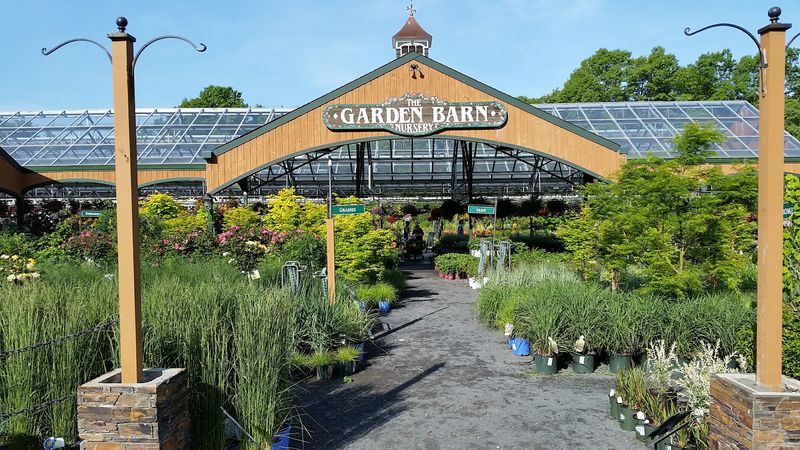 The Garden Sets The Scene