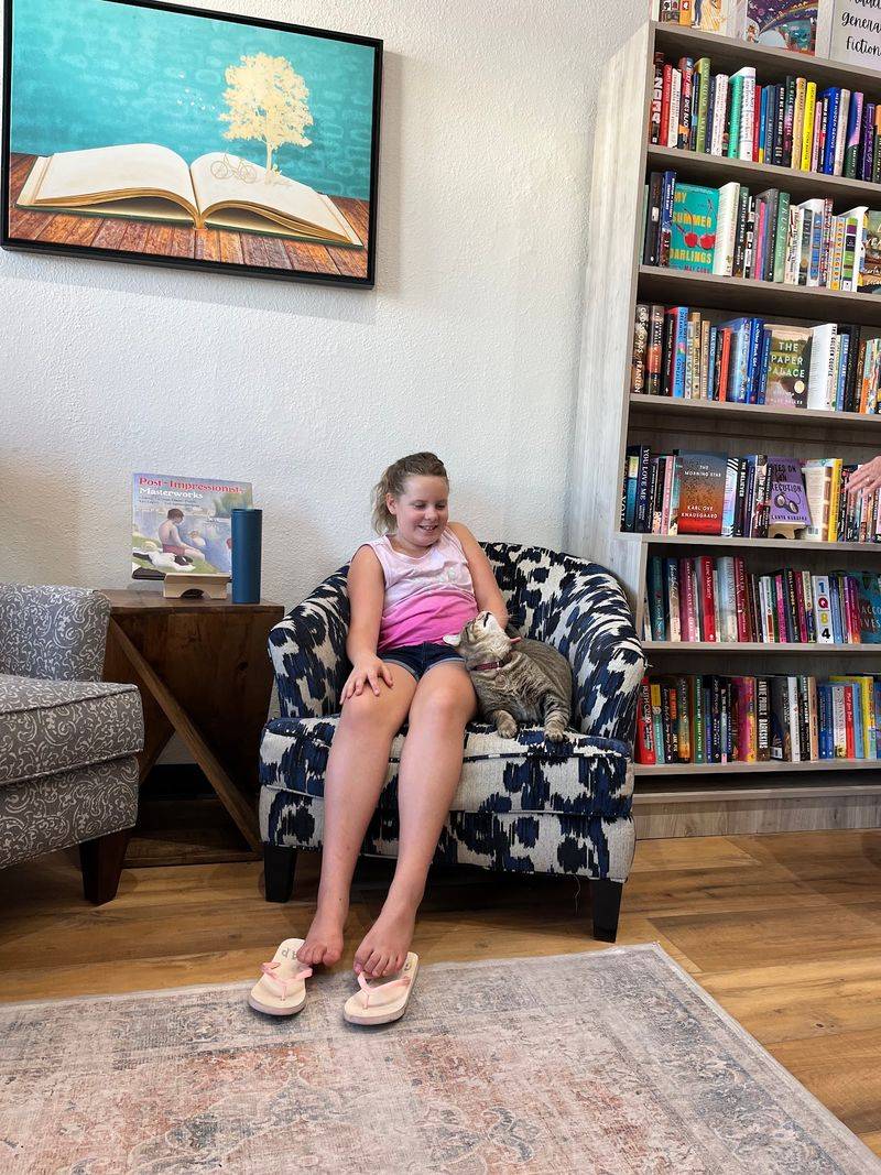 This Cozy Nebraska Bookstore Has A Terrace, Collectible Books And A Cat Who Thinks He Runs The Place - Decor Hint Meet Kojak The Bookstore Cat
