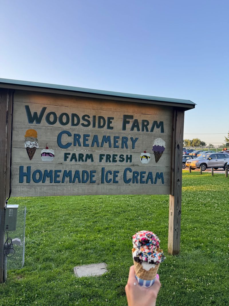 Cows, Cones, And Countryside