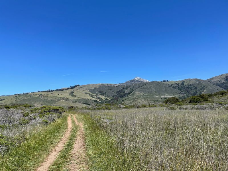 This Easy 2-Mile California Trail Leads Straight To The Ocean And September Is The Perfect Time To Go - Decor Hint Two Miles Round Trip, Start To Finish