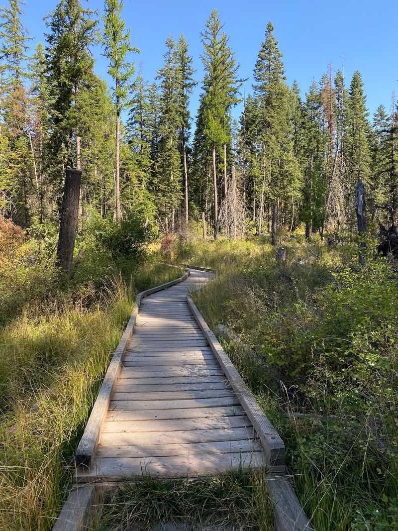Start With An Easy Forest Walk That Feels More Mysterious Than Expected
