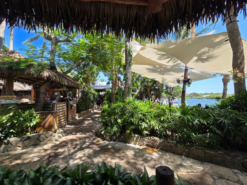 Dining Under A Living Roof Of Banyan Branches