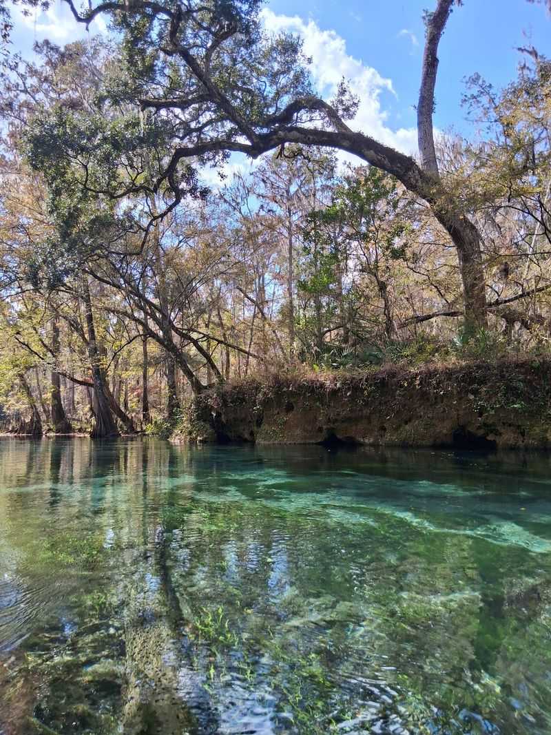 Water's Crystal Clarity