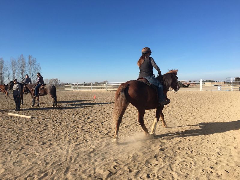 Climb Into The Saddle Even If You Have Never Ridden Before