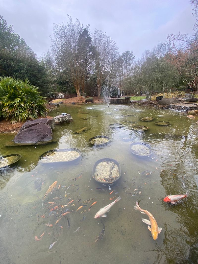 A Nine-Acre Campus That Started As A Water Garden