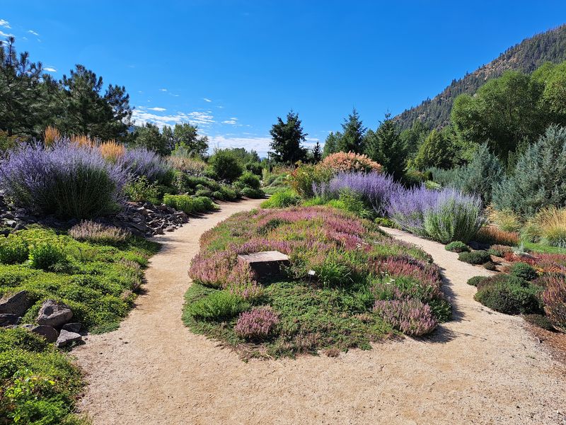 This Hidden 5-Acre Idaho Garden Has 5 Different Biomes And Seniors Visit Completely Free - Decor Hint Wander Five Acres Filled With High-Elevation Plants And Quiet Paths