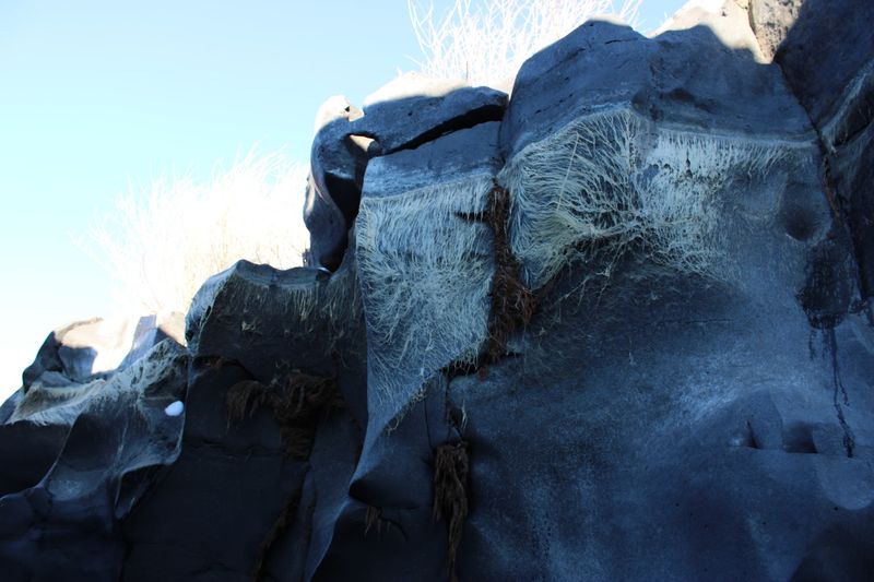 Black Lava Walls Make The Canyon Feel Almost Otherworldly