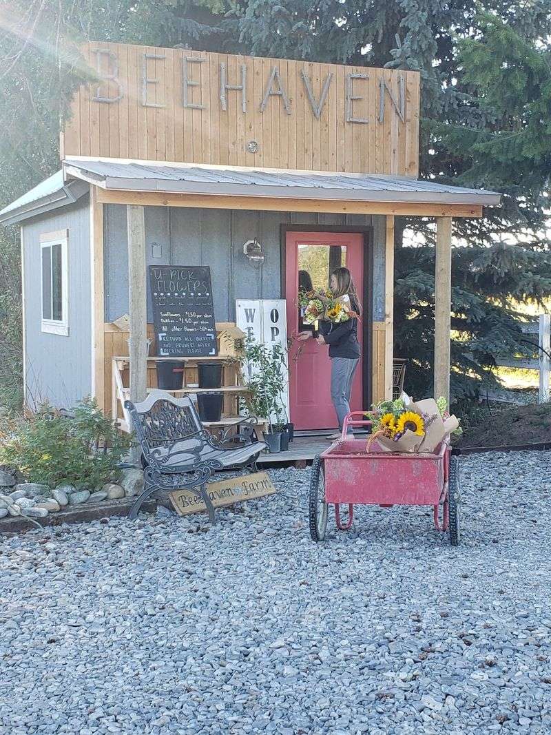 Pull In For Fresh Flowers Even If It Is The Middle Of The Night