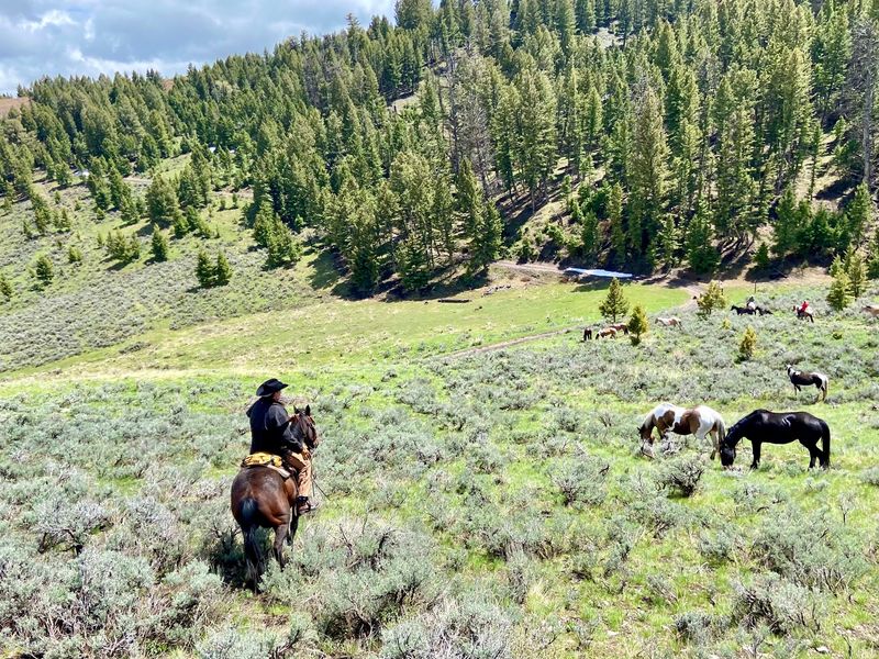 Saddle Up For A Journey That Goes Far Beyond A Short Trail Ride