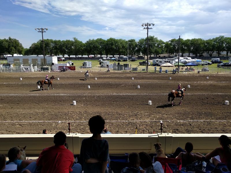 Watch Riders Change Horses At Full Speed