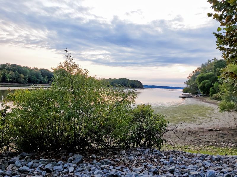 Miles Of Warm Shoreline That Reptiles Love