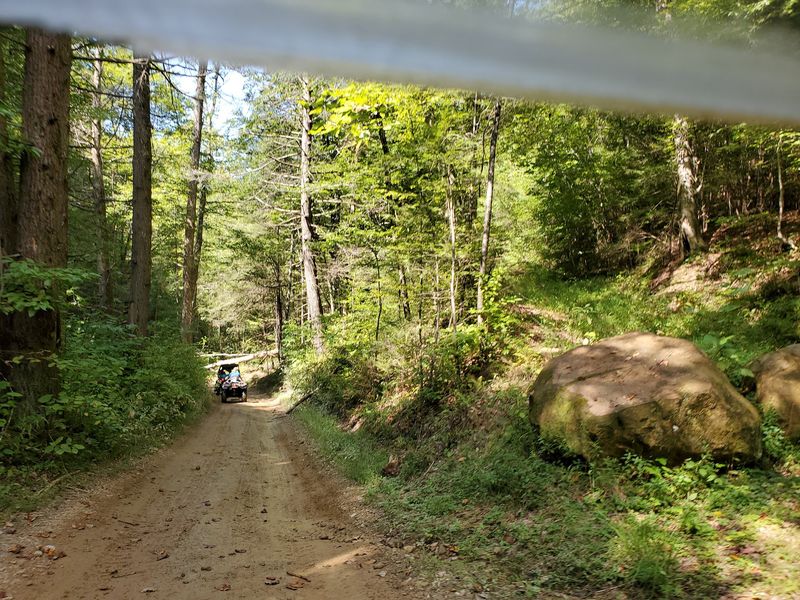 This Kentucky Mountaintop Has Free Roaming Horses And Nobody Talks About It - Decor Hint The Road That Climbs Into Elk Country