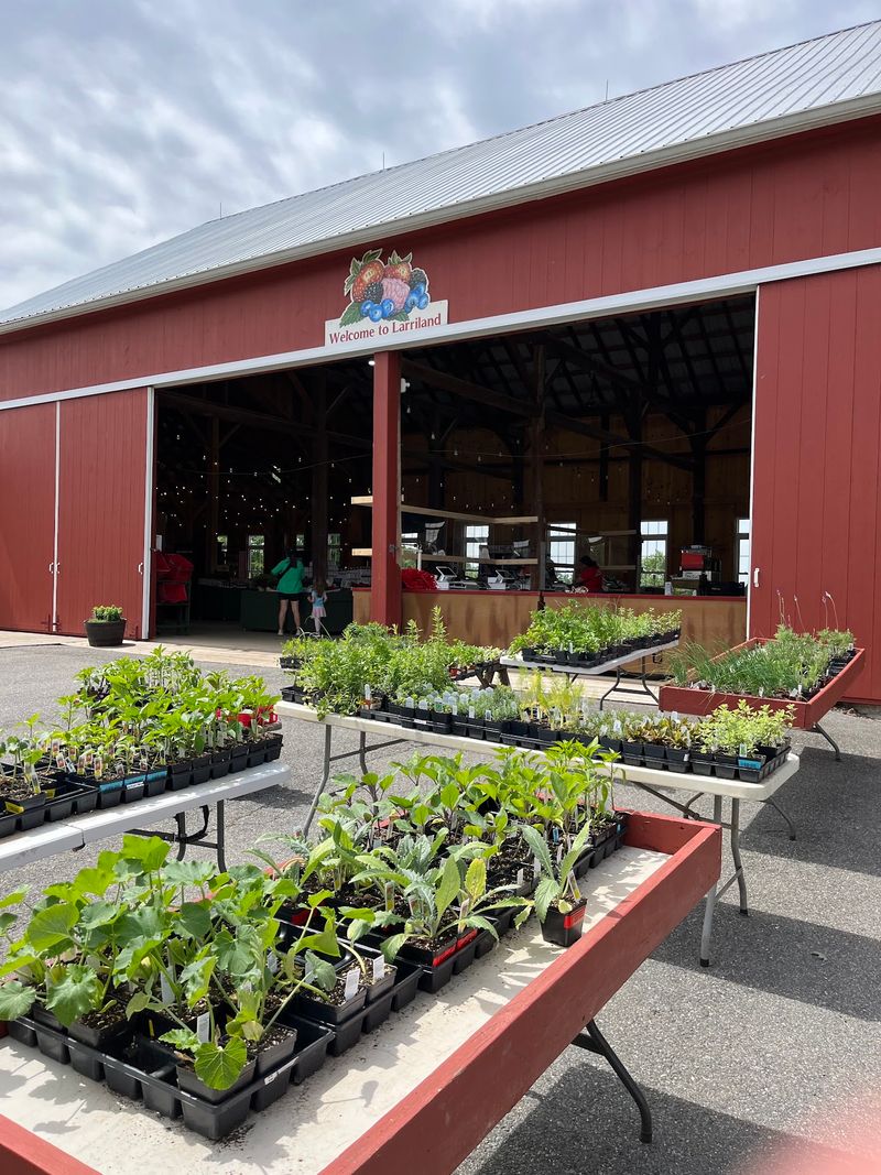 A Farm With Deep Roots In Maryland