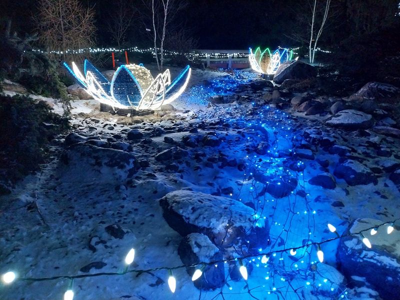 Firefly Viewing Nights Are A Ticketed Summer Tradition