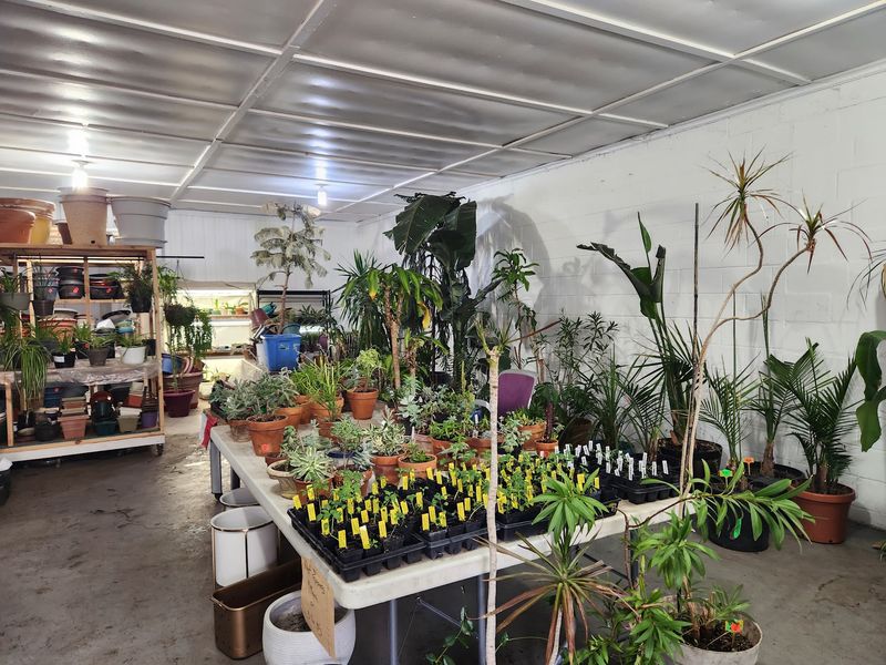 The Plant Rescue Concept That Makes This Place Different