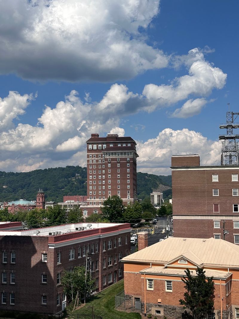 Explore Asheville's Pizza Stops Across Several Nearby Districts