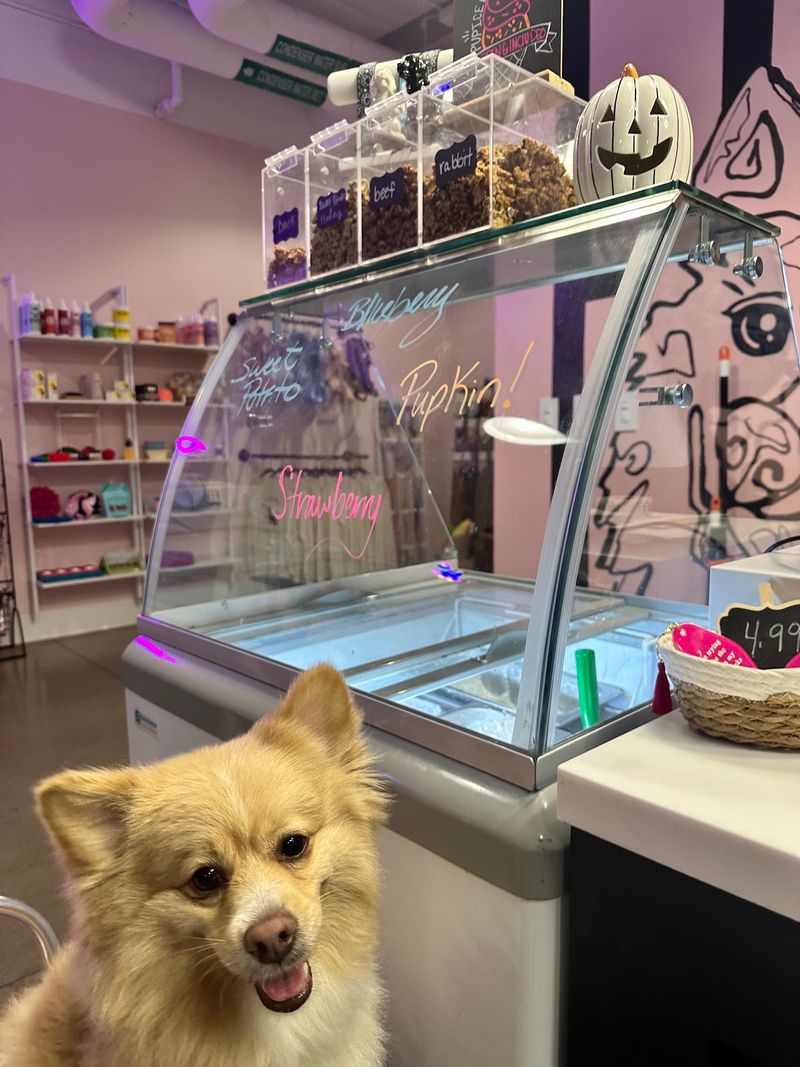 Let Your Pup Pick From Eight House-Made Ice Cream Flavors