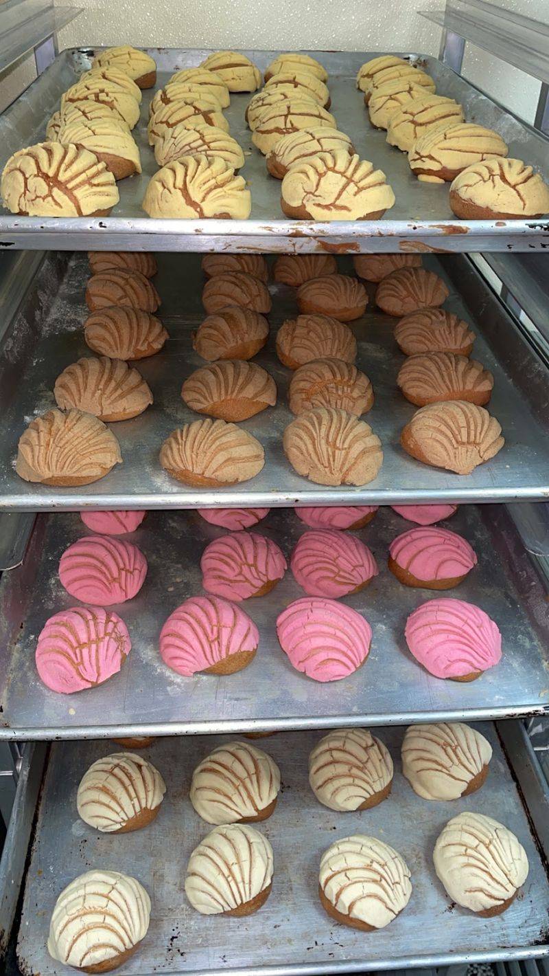 Colorful Pan Dulce Fills The Cases With Something Different Every Visit