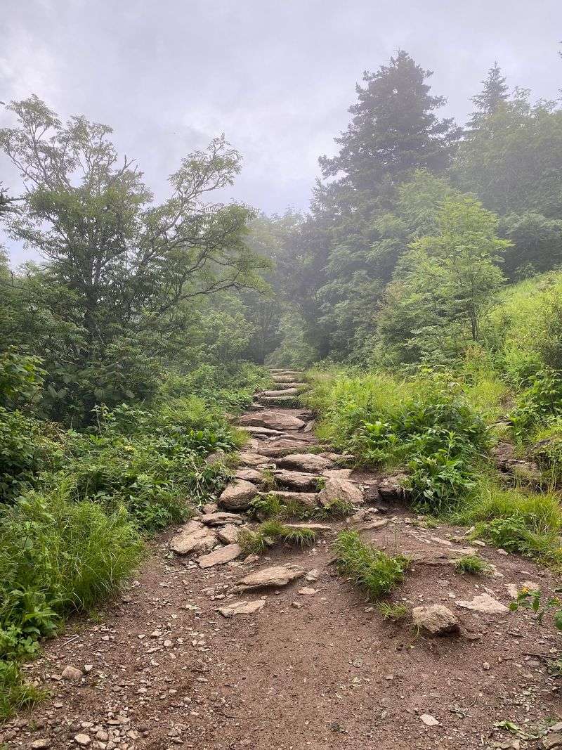 Start At One Of The Highest Stops Along The Blue Ridge Parkway