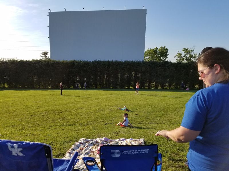 A Screen In A Field That Time Forgot