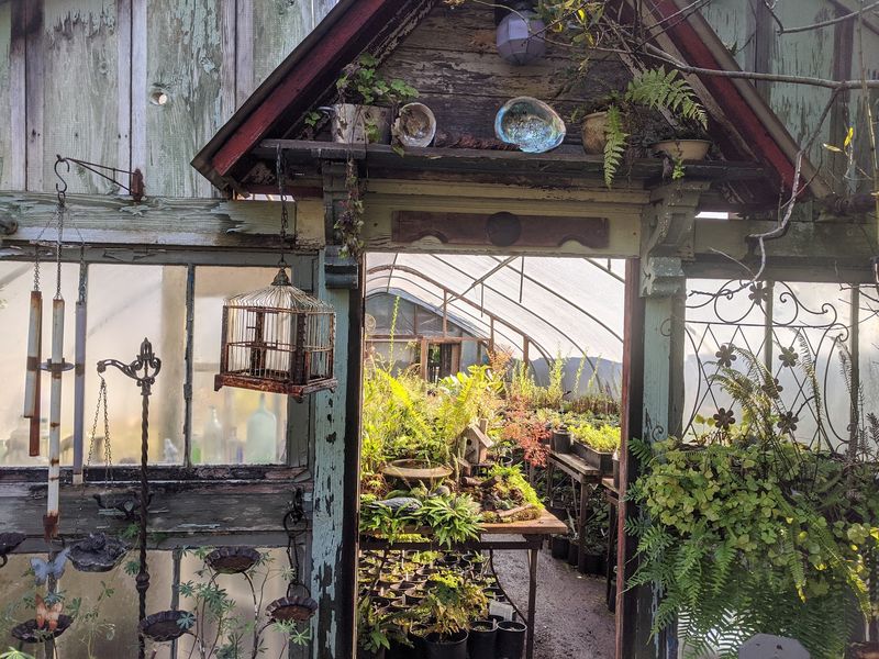 A Nursery Born From Passion