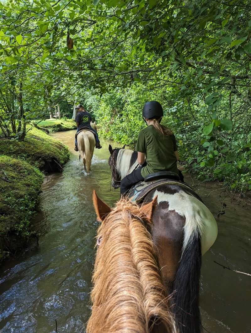 A Working Ranch With Twenty-Five Years Of Trail Wisdom