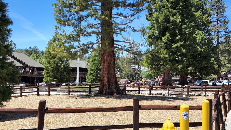 A Mountain Town That Keeps Showing Up On Best-Of Lists