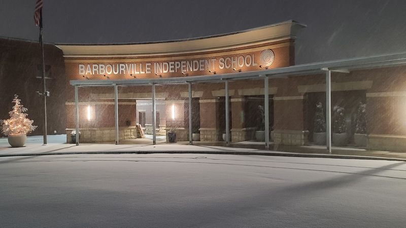 Not Your Average School