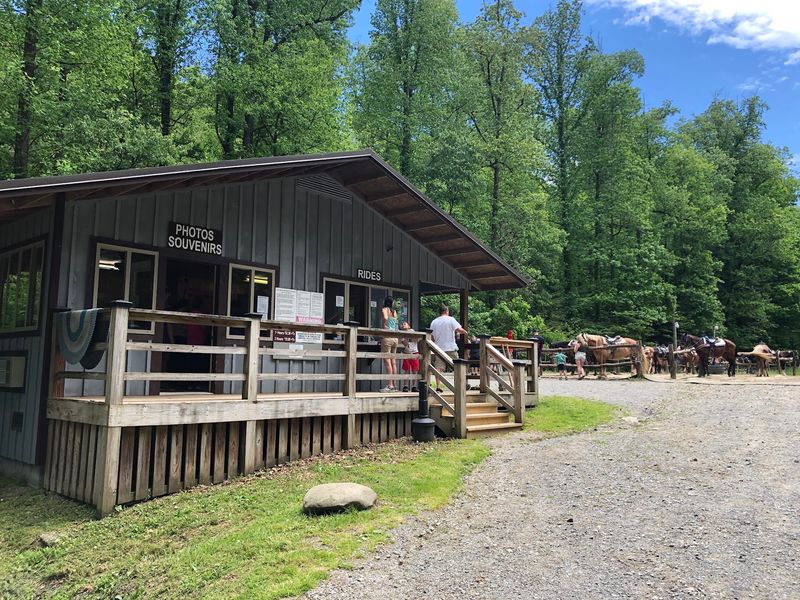 Where The Trailhead Begins