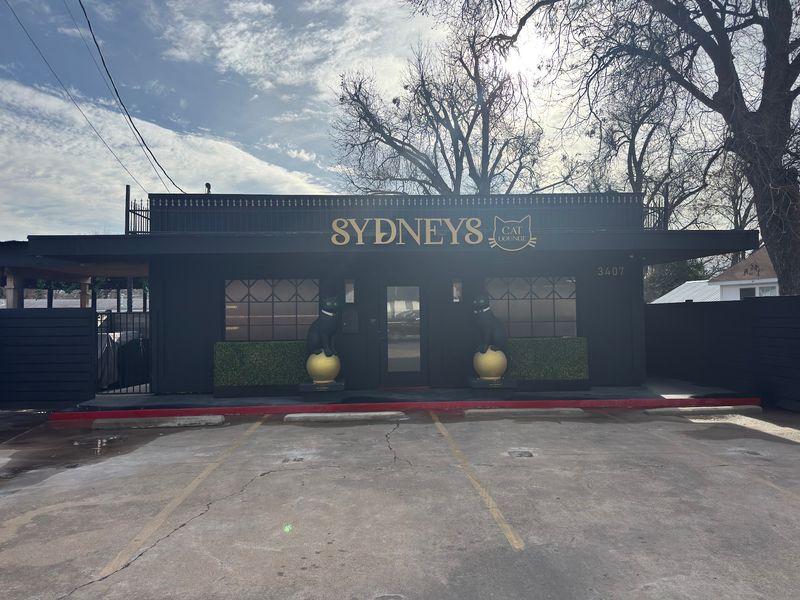 This Texas Cat-Themed Destination Is Every Cat Lover's Dream Come True - Decor Hint A Storybook Welcome Awaits You