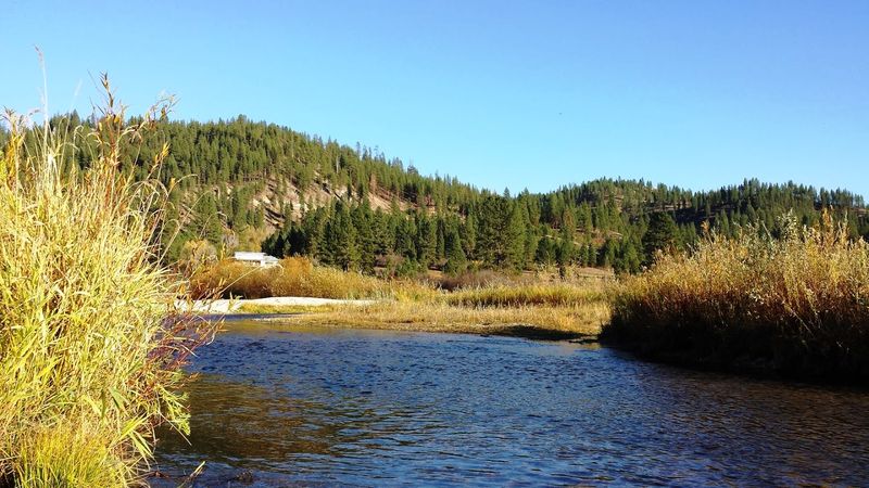 A Tiny Mountain Community With A Surprisingly Lively Vacation Side