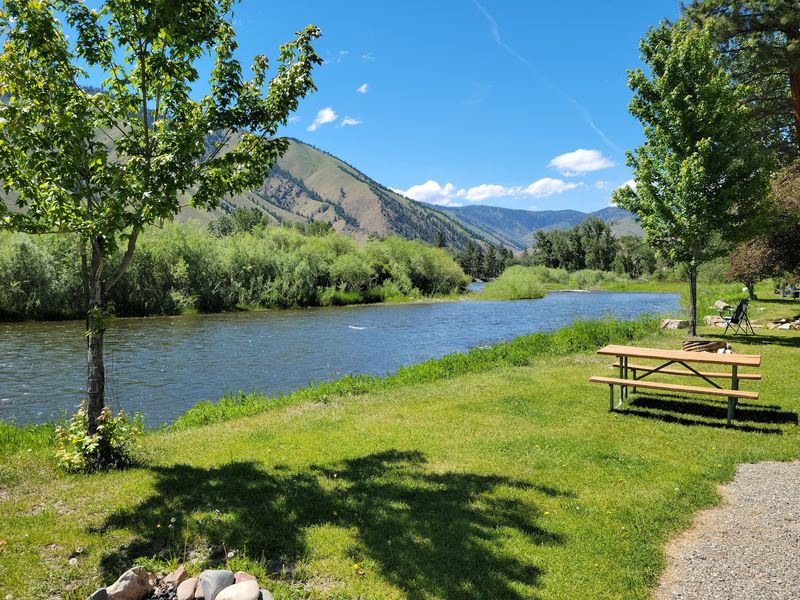 Grassy Sites Beside The Salmon
