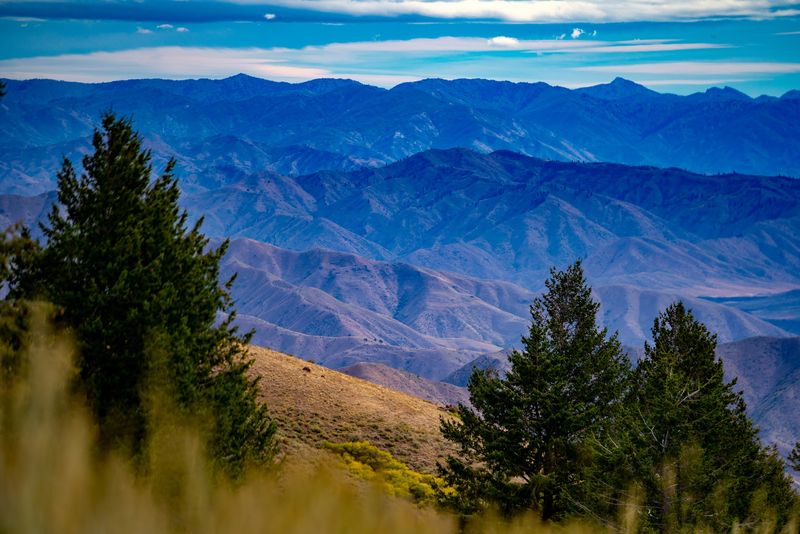 Watch The Mountain Fill With Migrating Birds