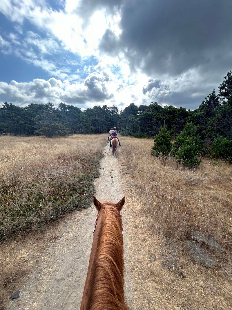 There Is Even An Eight-Hour Riding Adventure