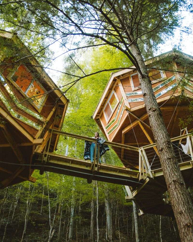 Red River Gorgeous Wilderness Treehouse & Cabin Rental